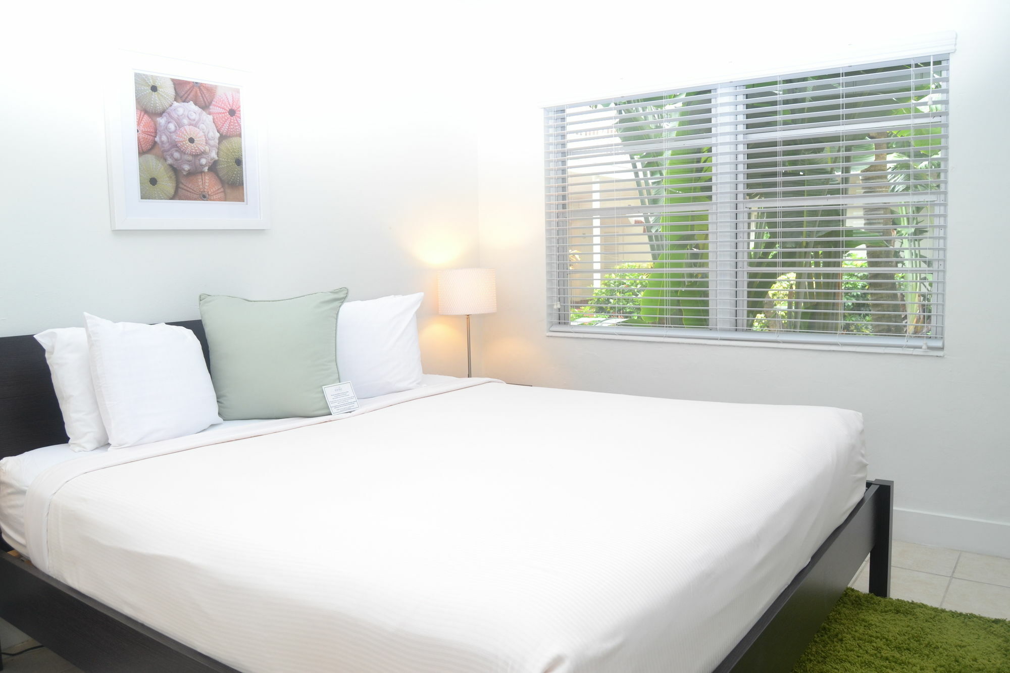 Solas A North Beach Village Resort Hotel Fort Lauderdale Exterior photo
